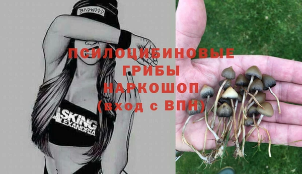 спиды Алексин